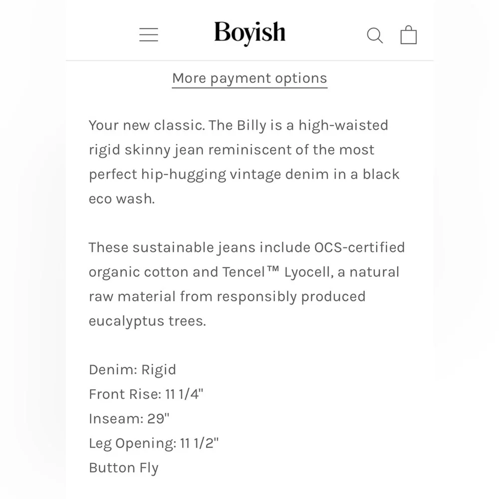 BOYISH x Free People - The Billy High Waisted Vintage Skinny Jean - Picture 3 of 9
